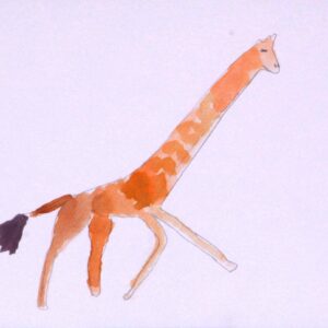 Giraffa