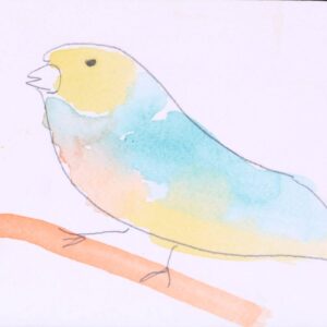 Uccellino